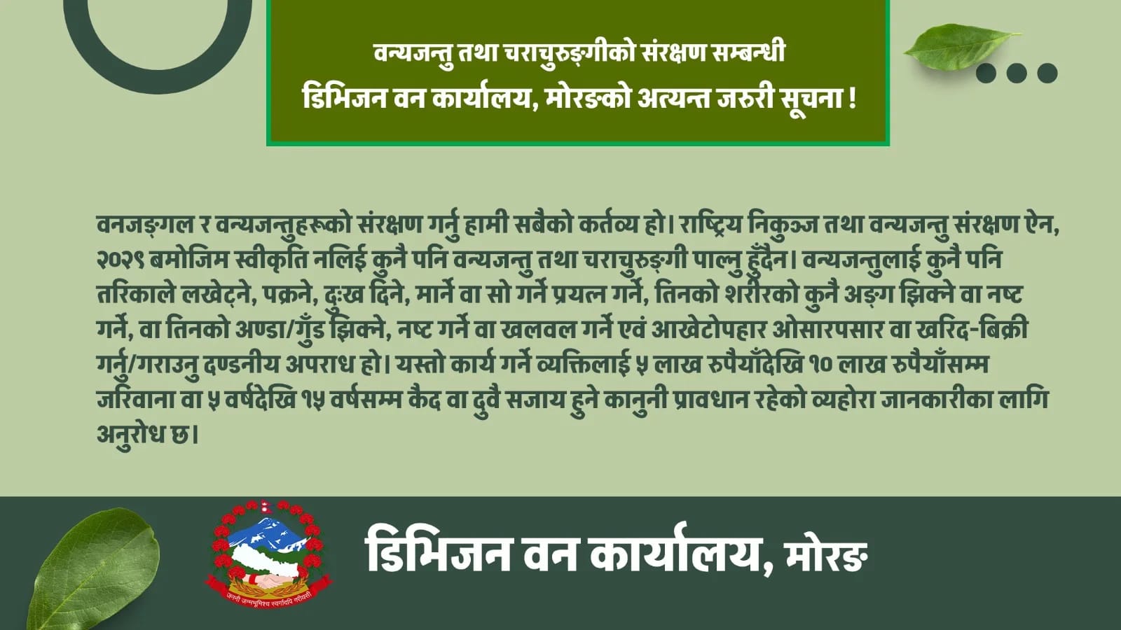 Ban morang