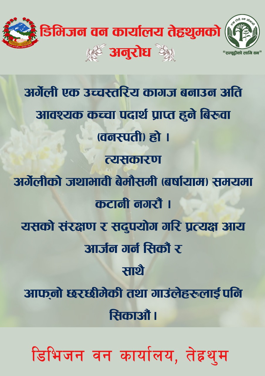 Lokta Add Terhathum