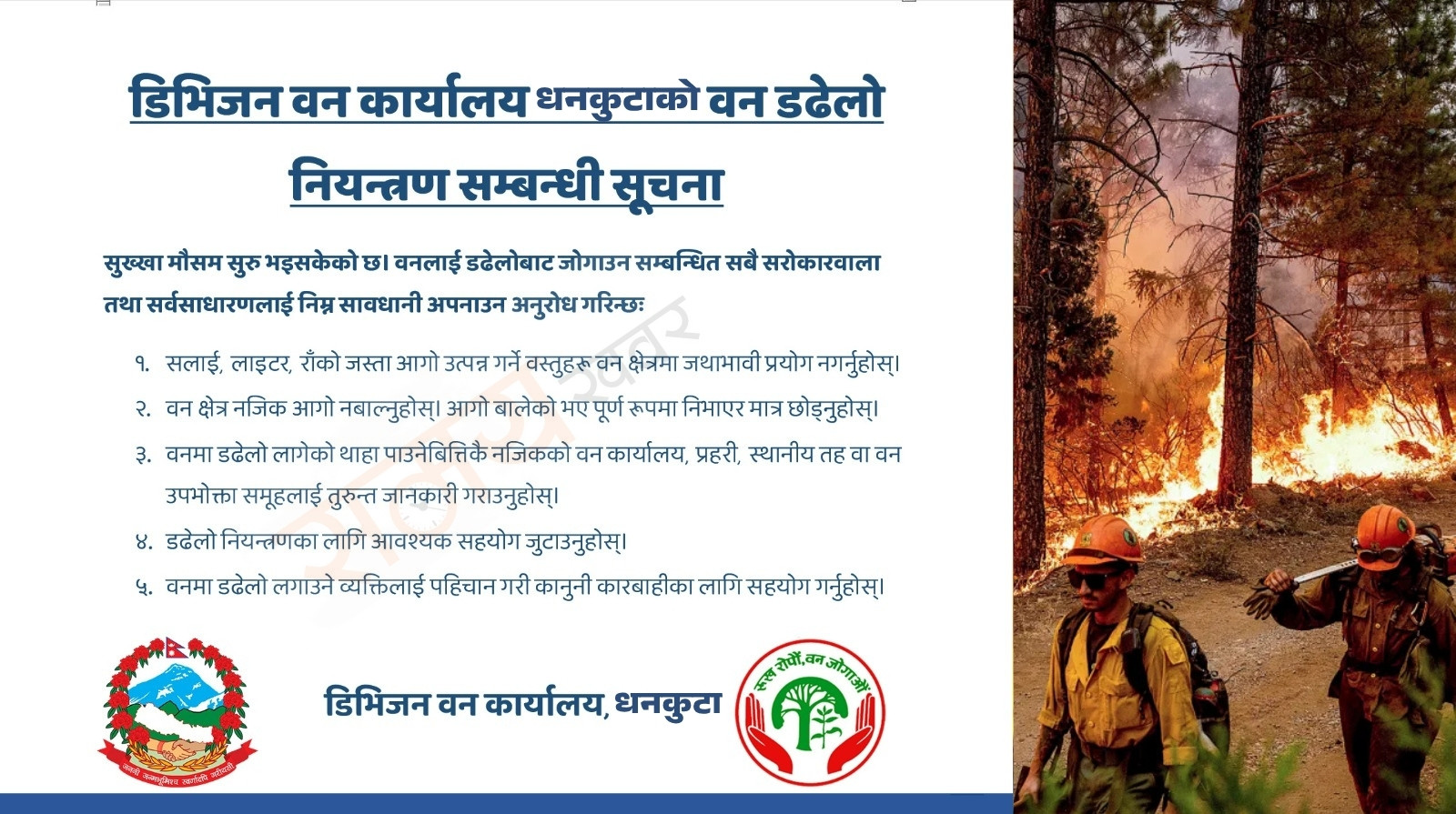 Dhankuta Dadelo