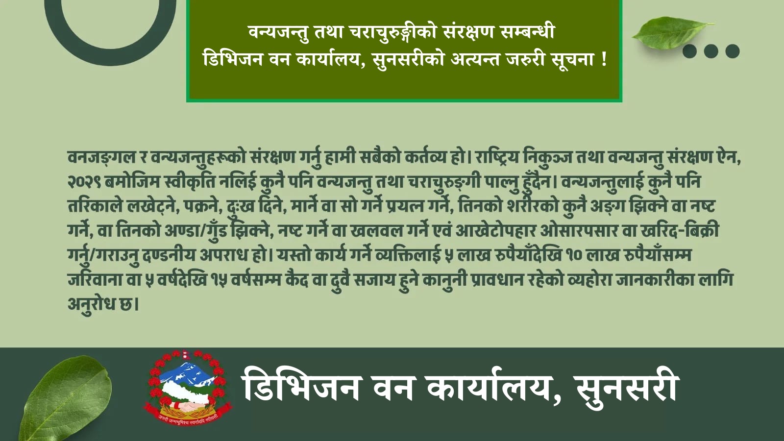 Ban Sunsari 1