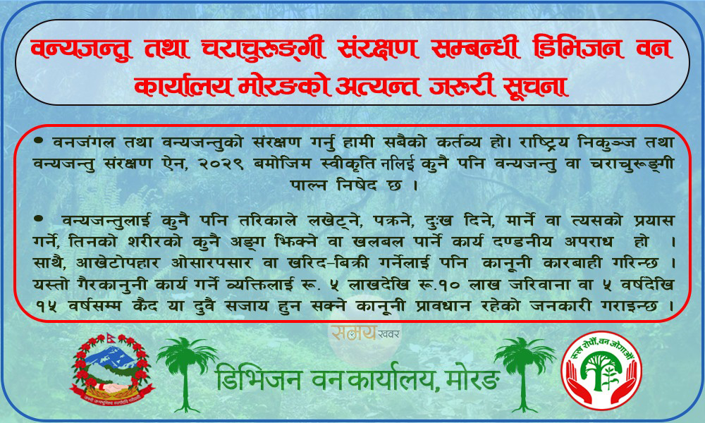 Morang Ban Ad
