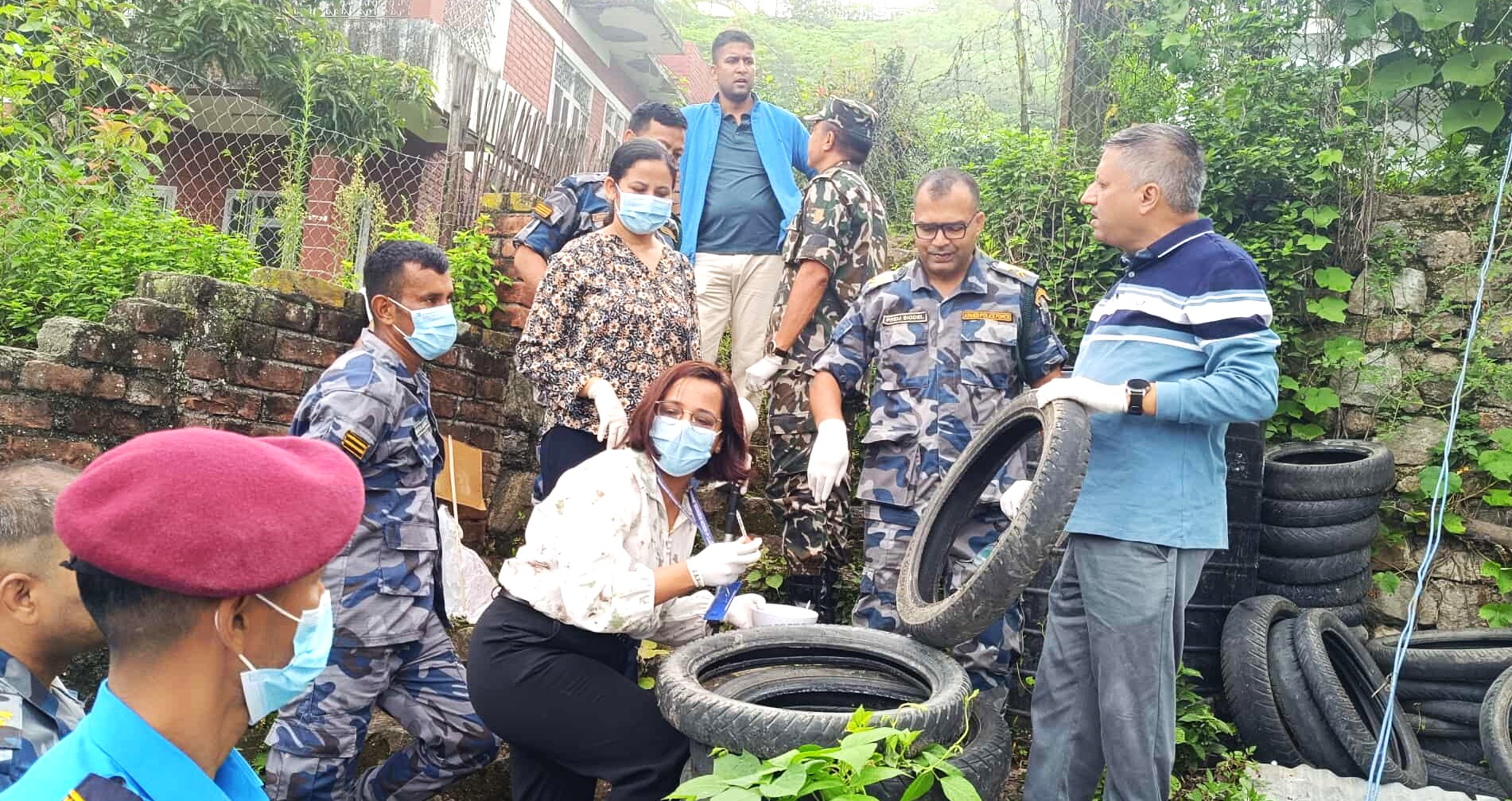 धनकुटामा डेङ्गी संक्रमण बढ्दो, घर घरमै पुगेर लार्भा नष्ट