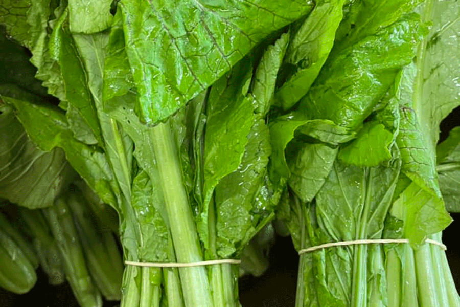 काठमाडौंको रायो सागमा भेटियो ९९ प्रतिशत विषादी