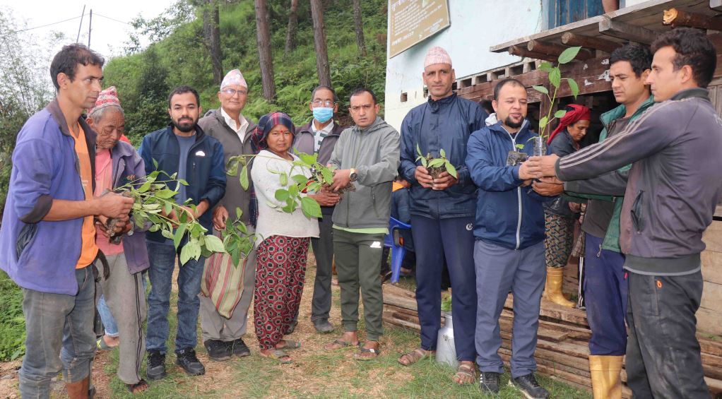 किसानलाई डालेघाँसका विरुवा वितरण