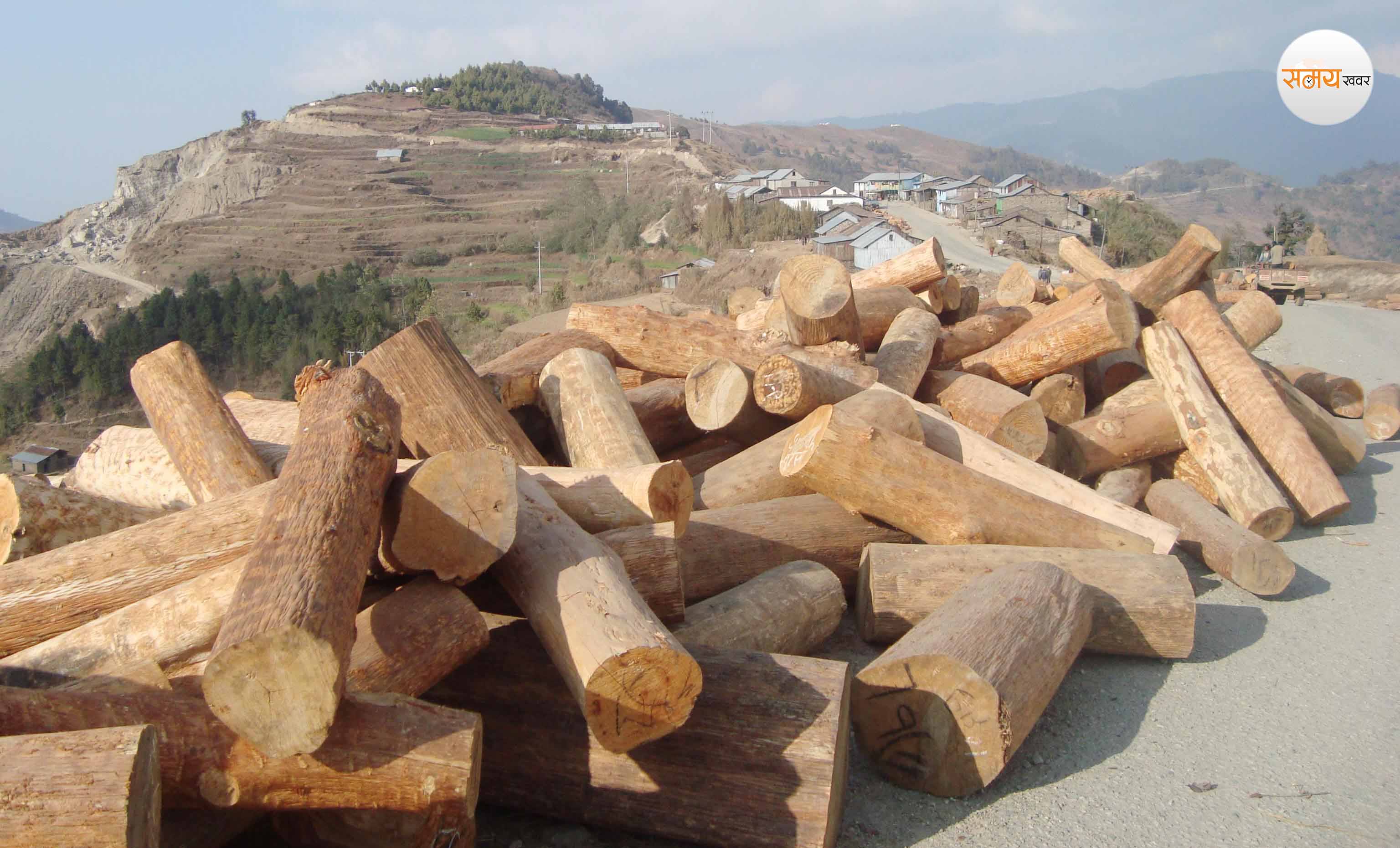 लालीगुराँस नगरपालिकाद्धारा गोलिया काठ ढुवानीमा रोक